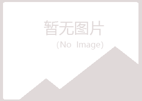 岐山县碧琴冶炼有限公司